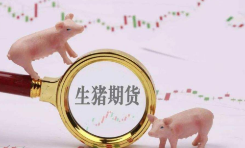 生豬期貨未來走勢將會如何？生豬期
